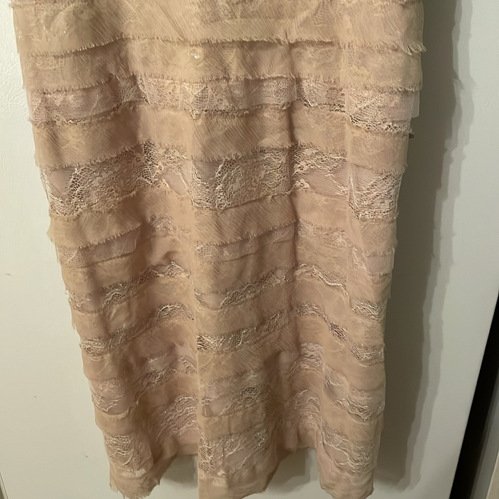 NWT BCBGMaxazria Medium Strapless Dress‎ Champagne - Picture 5 of 15